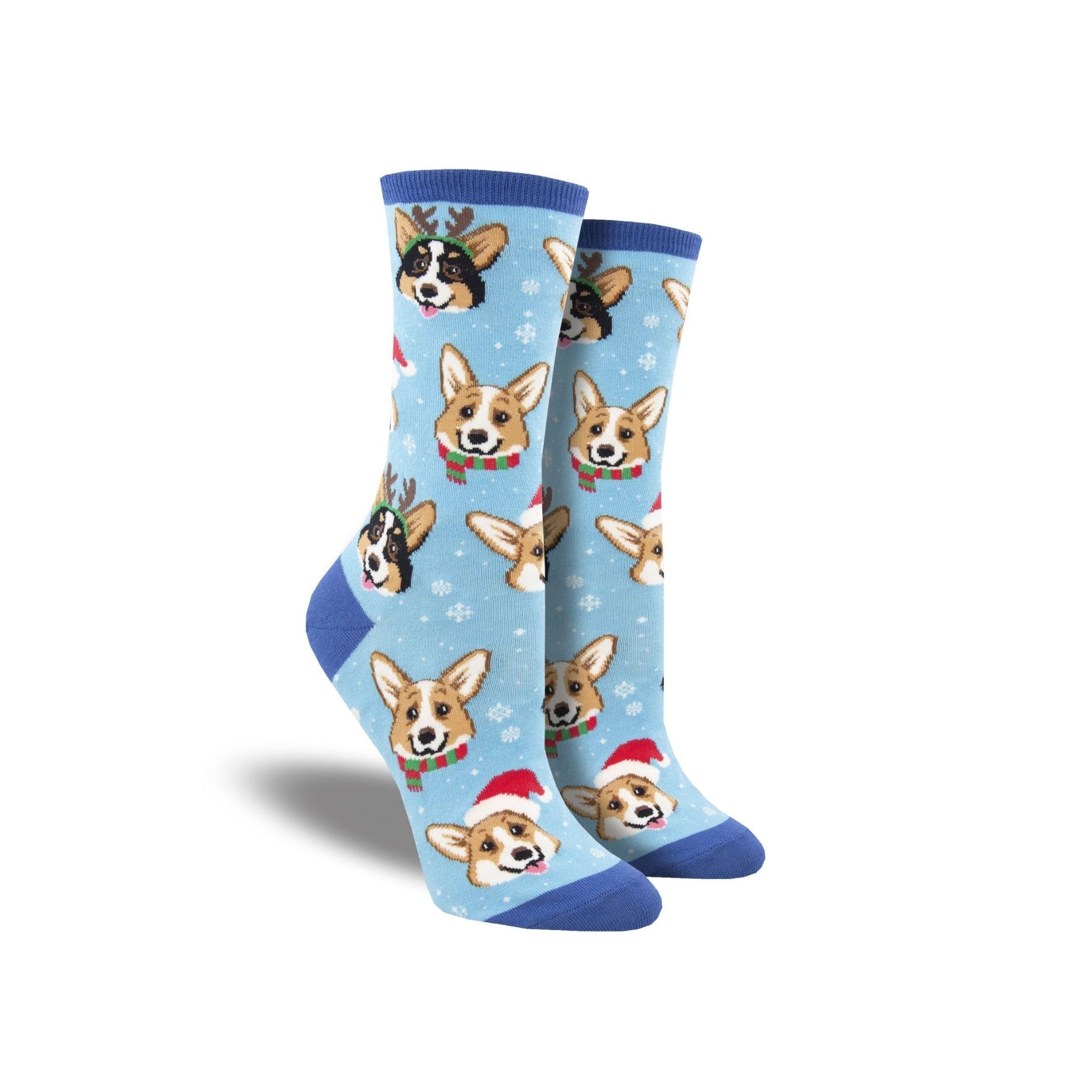 Blue socks with corgis wearing antlers and scarfs