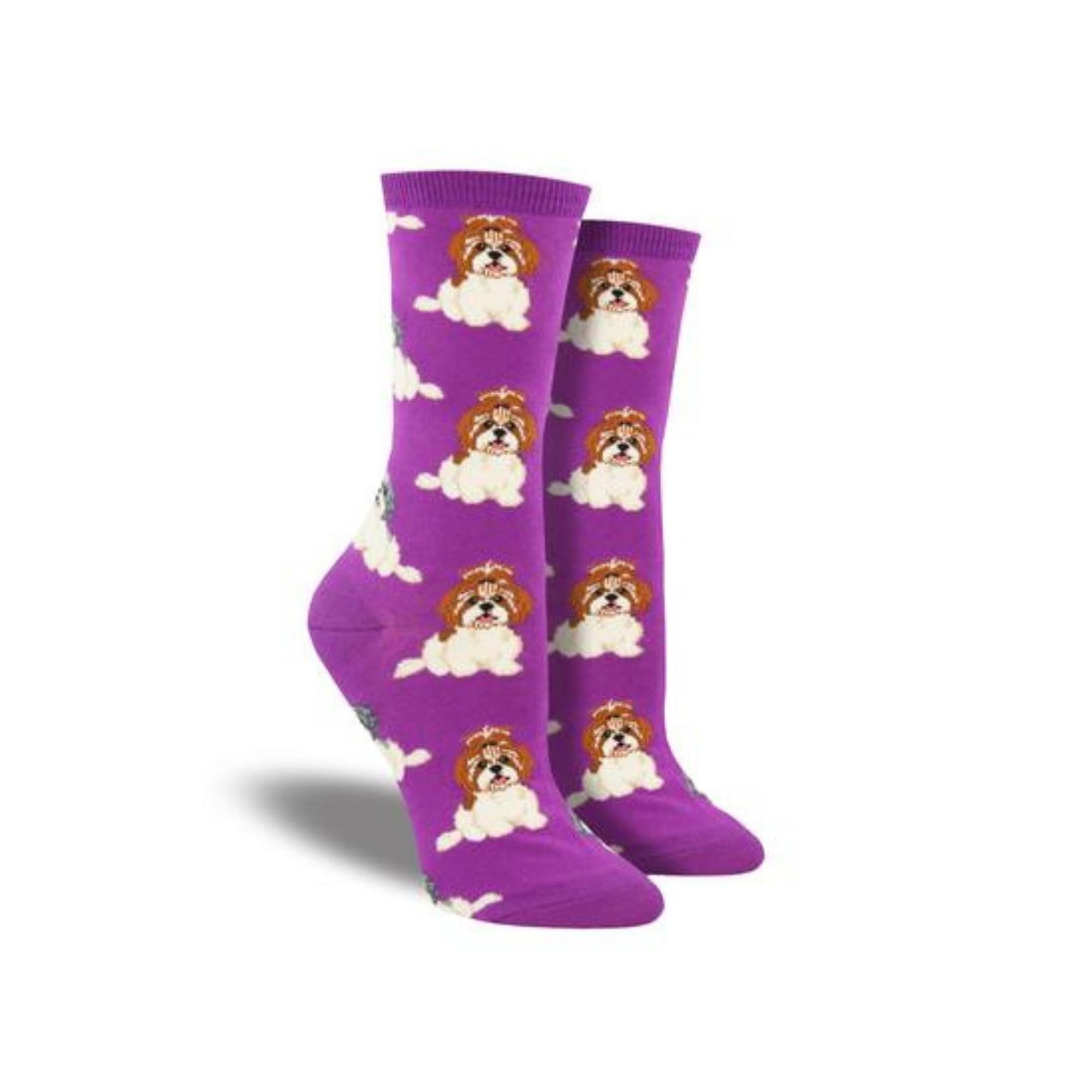 Purple socks with Shih Tzus on them